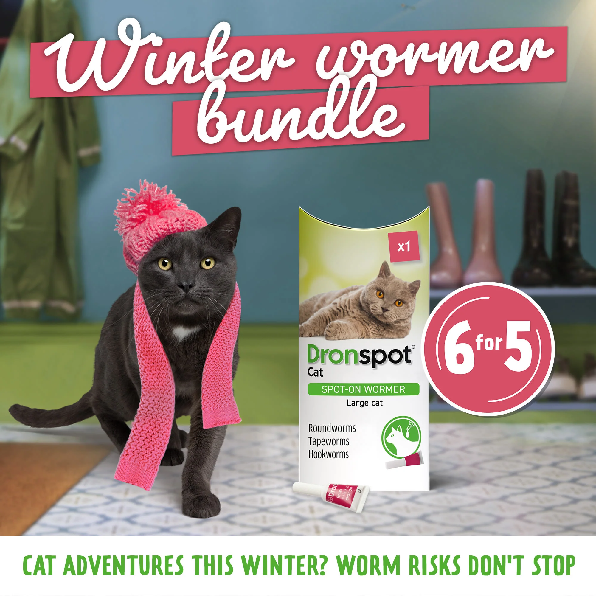 6x Dronspot Spot On Worming Solution for Large Cats (5-8kg) - Image 2