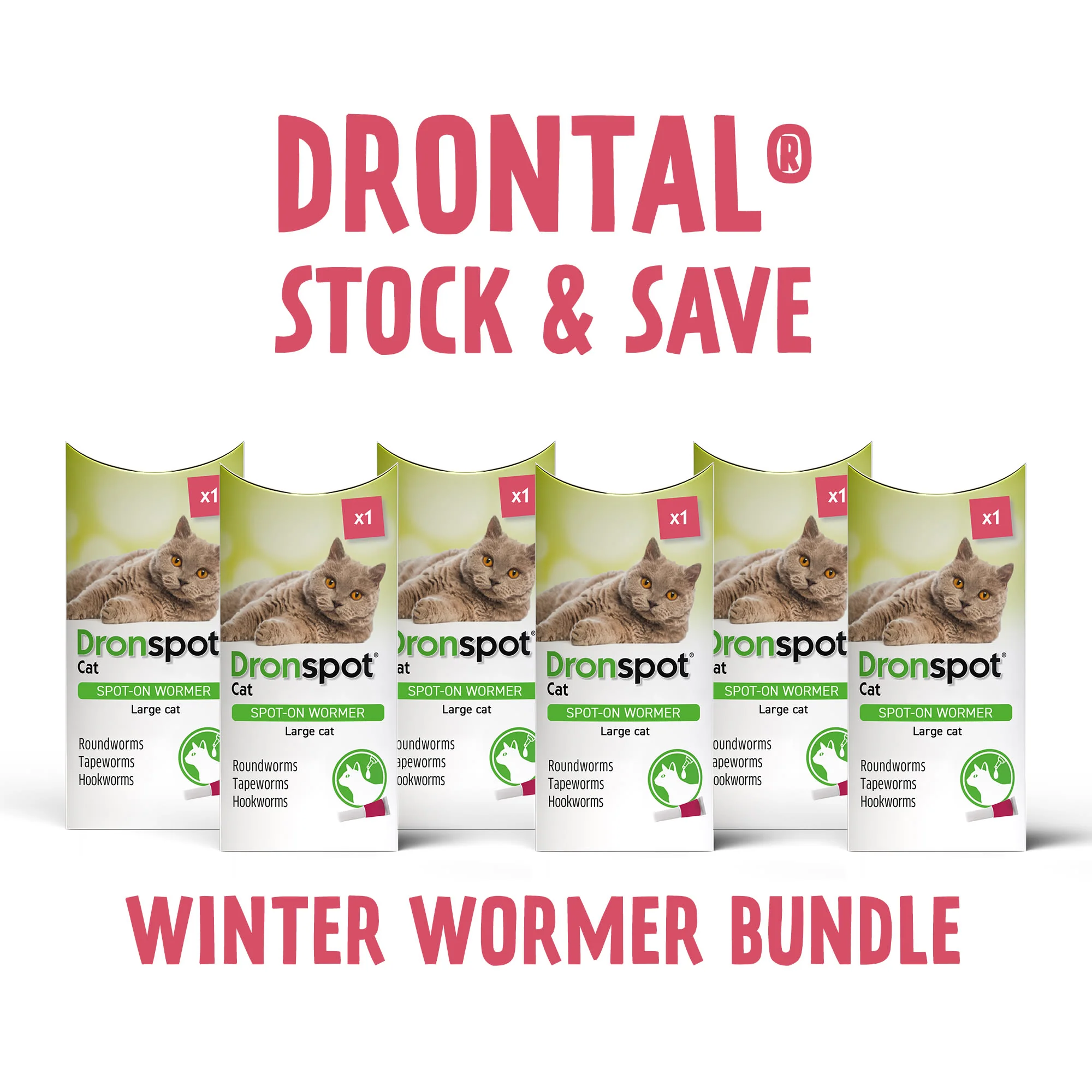 6x Dronspot Spot On Worming Solution for Large Cats (5-8kg) - Image 3