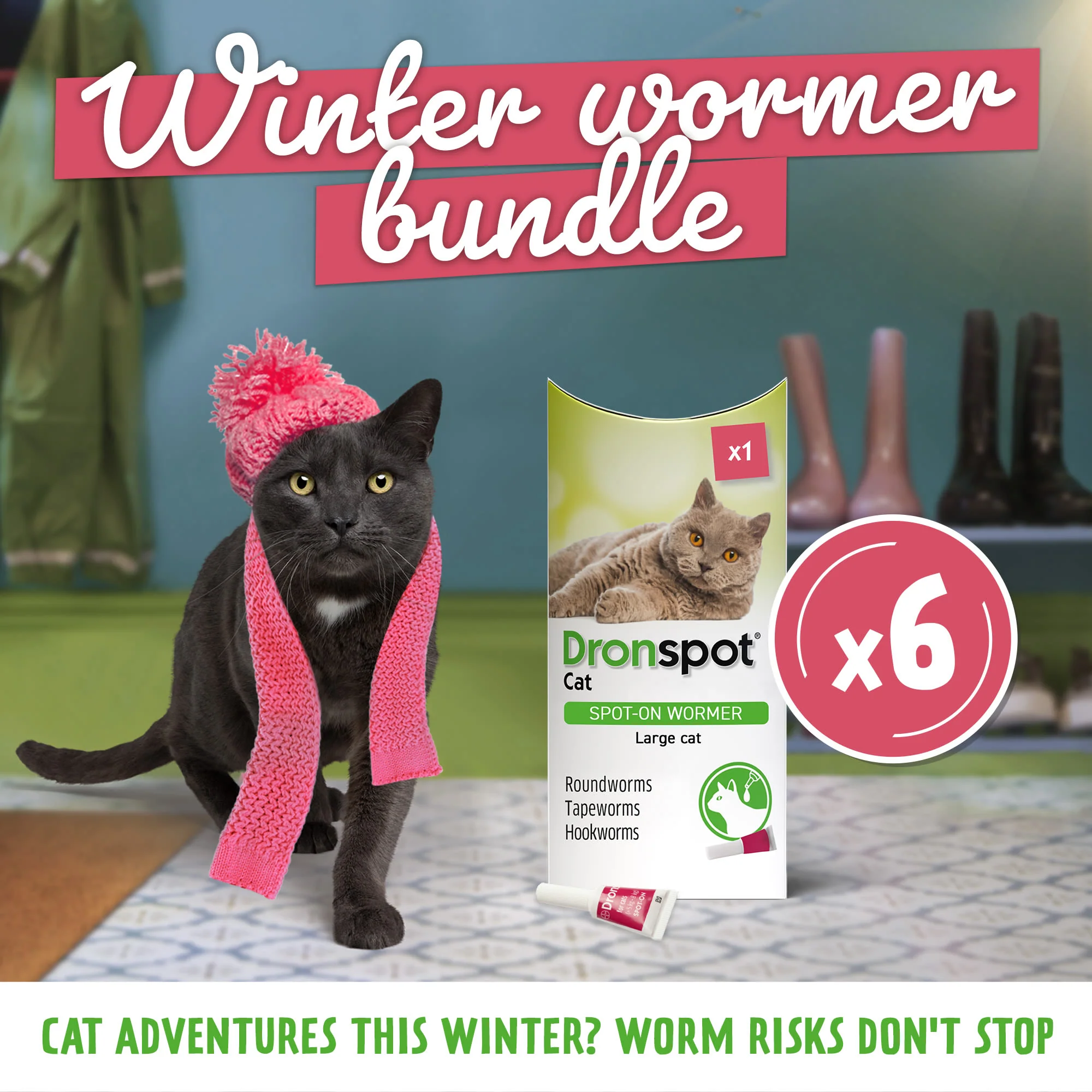 6x Dronspot Spot On Worming Solution for Large Cats (5-8kg) - Image 7