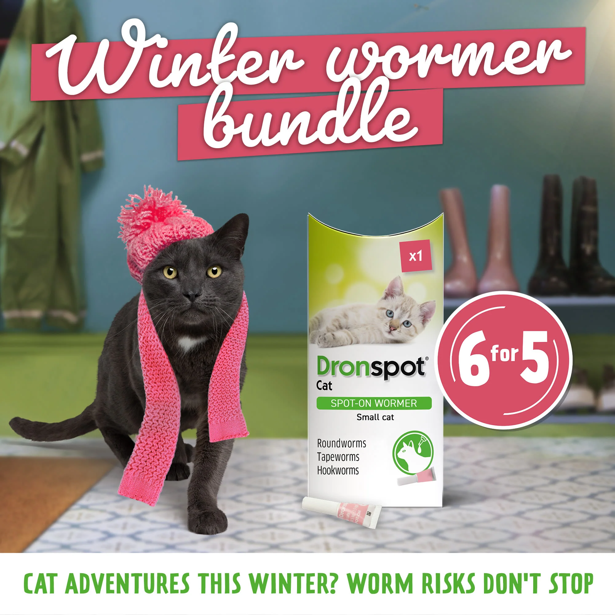 6x Dronspot Spot On Worming Solution for Small Cats (0.5-2.5kg) - Image 2