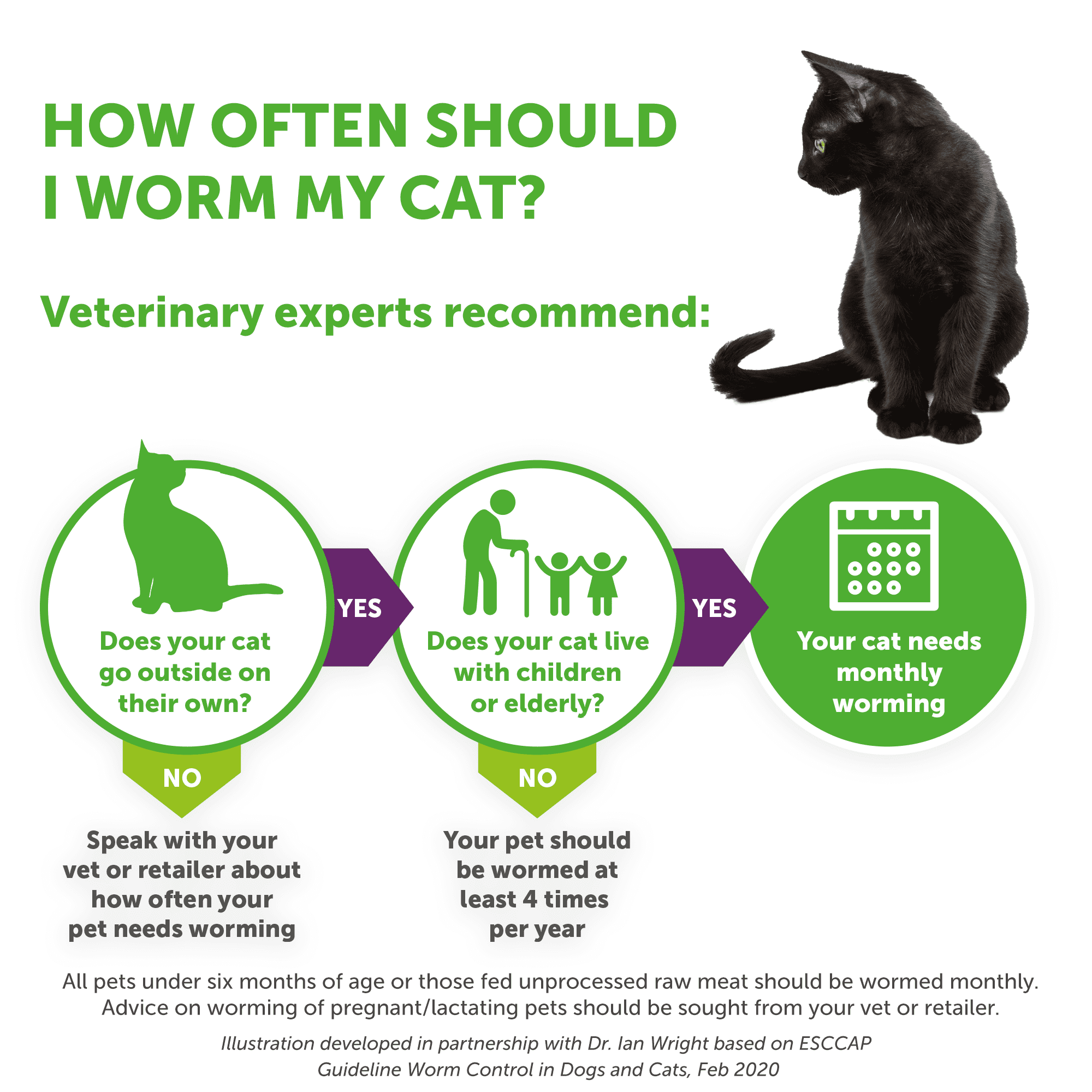 6x Dronspot Spot On Worming Solution for Small Cats (0.5-2.5kg) - Image 6