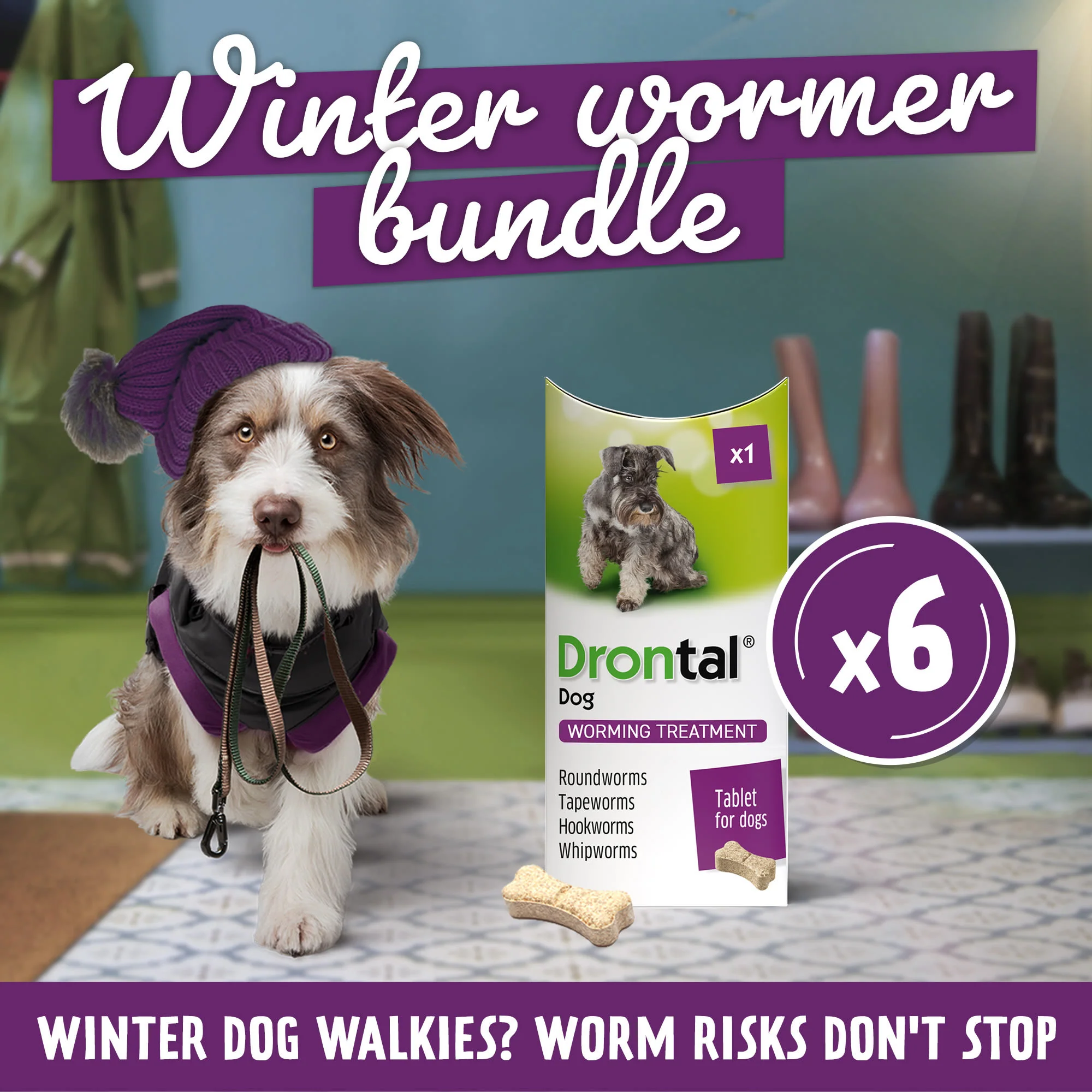 6x Drontal Tasty Bone Wormer Tablets for Small and Medium Dogs (2 to 20kg) 1 tablet per 10kg - Image 3