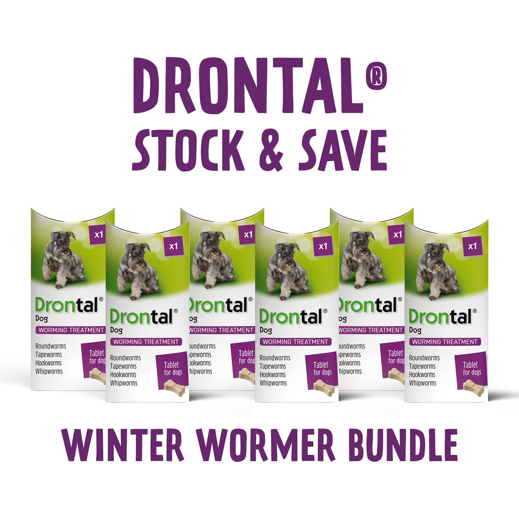 6x Drontal Tasty Bone Wormer Tablets for Small and Medium Dogs (2 to 20kg) 1 tablet per 10kg - Image 4