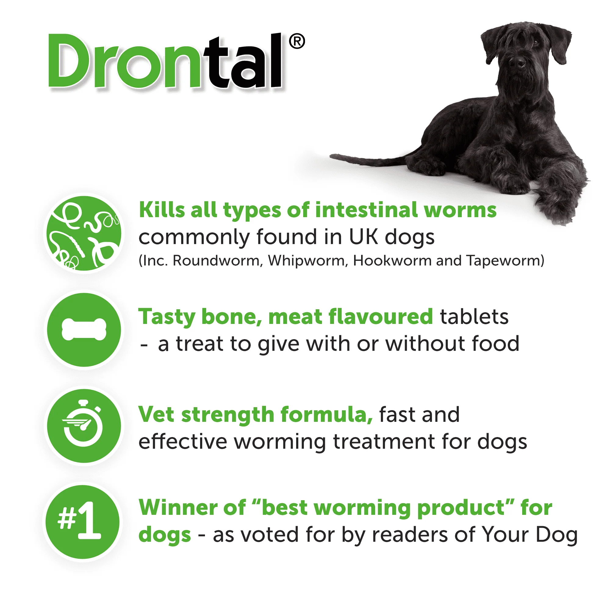 6x Drontal Tasty Bone Wormer Tablets for Small and Medium Dogs (2 to 20kg) 1 tablet per 10kg - Image 5