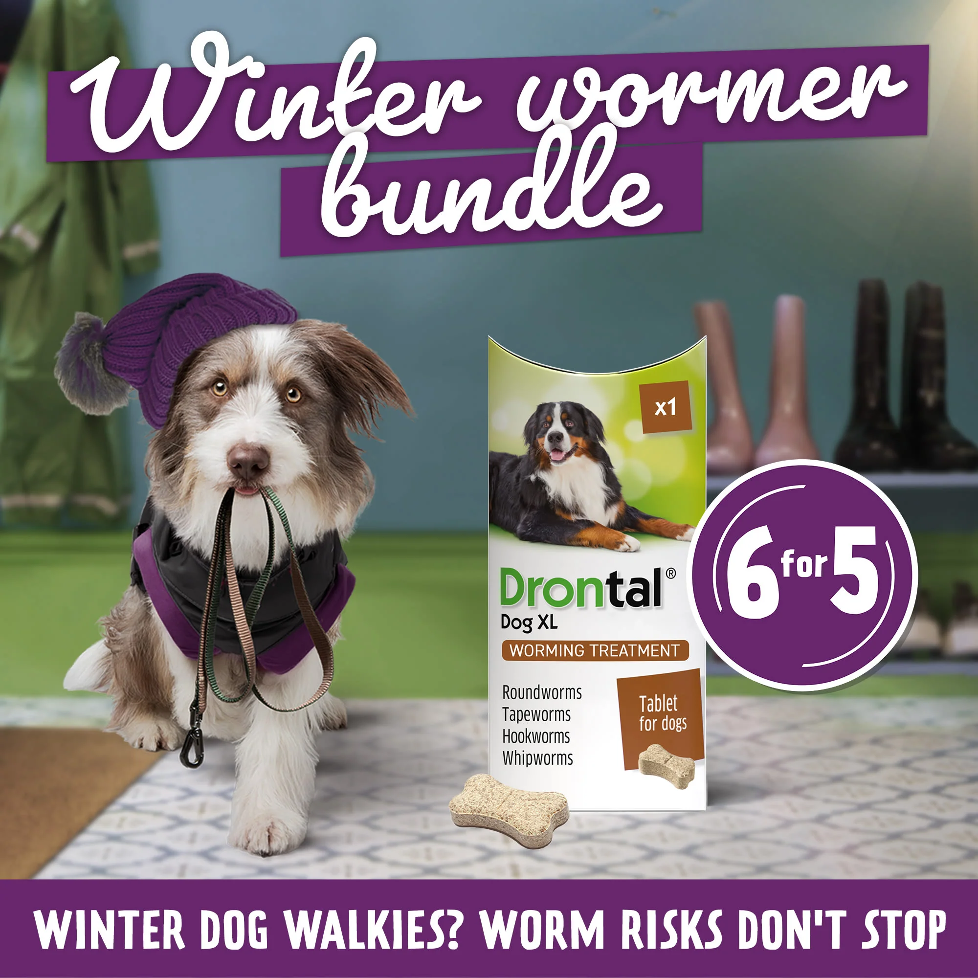 6x Drontal Tasty Bone XL Wormer Tablets for Large Dogs (2 to 20kg) 1 tablet per 35kg - Image 3