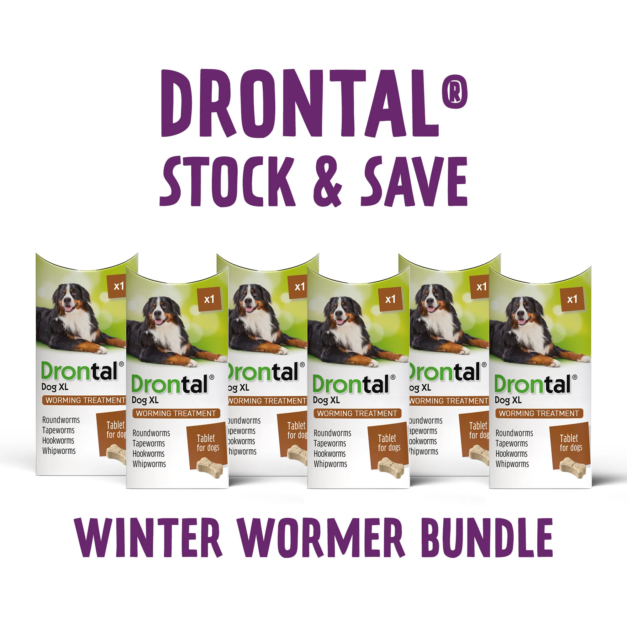 6x Drontal Tasty Bone XL Wormer Tablets for Large Dogs (2 to 20kg) 1 tablet per 35kg - Image 4