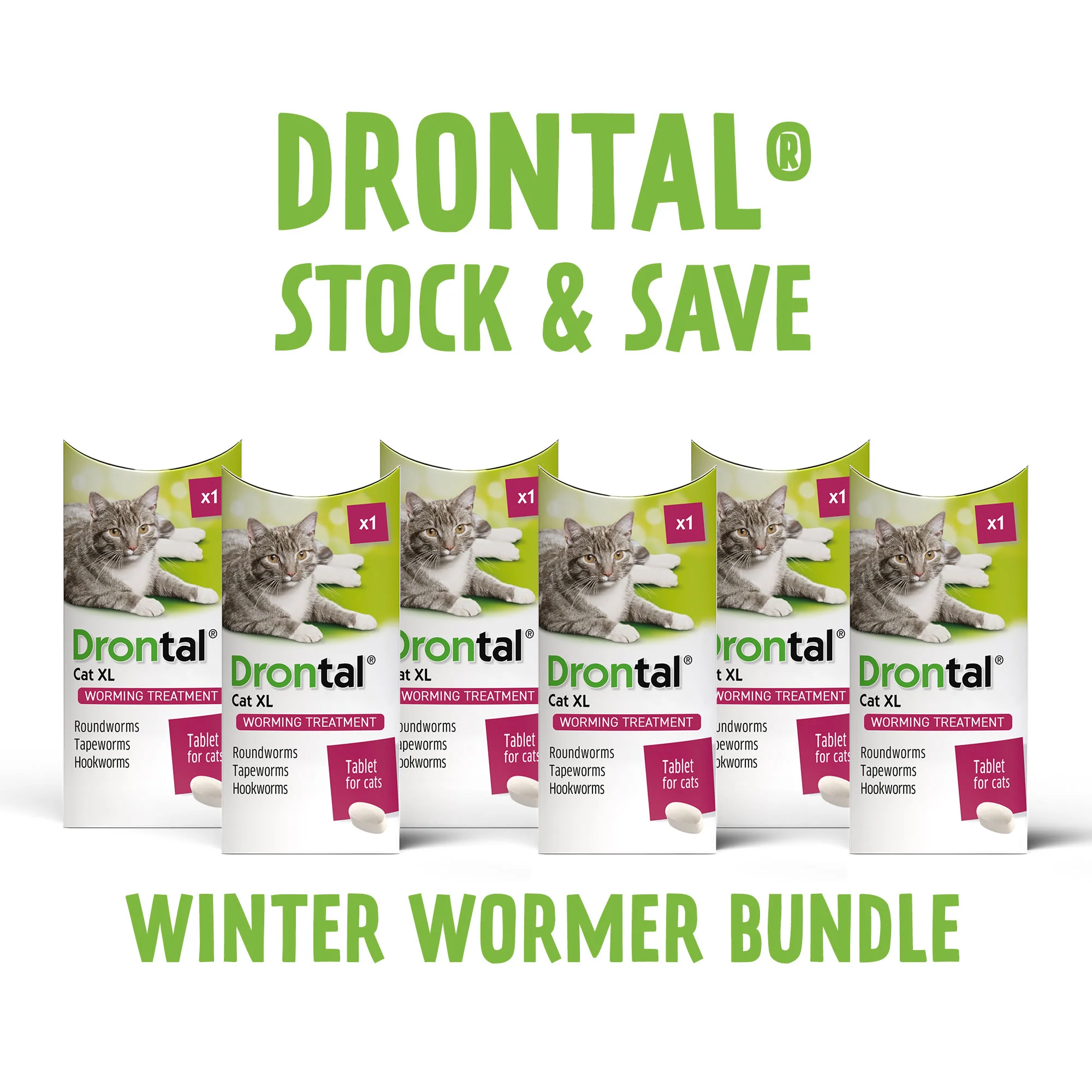 6x Drontal Wormer Tablets for Large Cats (Over 4kg) - Image 2
