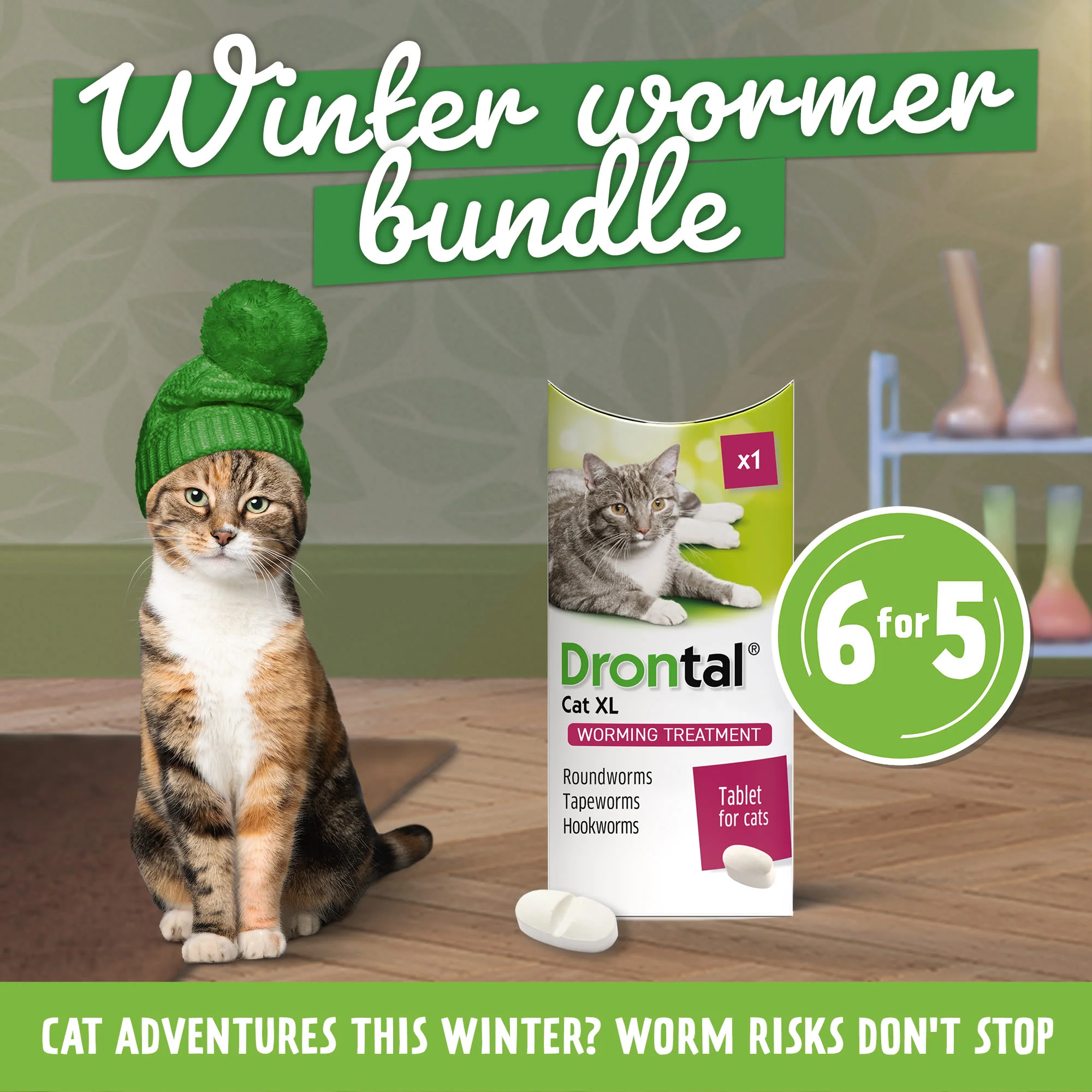 6x Drontal Wormer Tablets for Large Cats (Over 4kg) - Image 3
