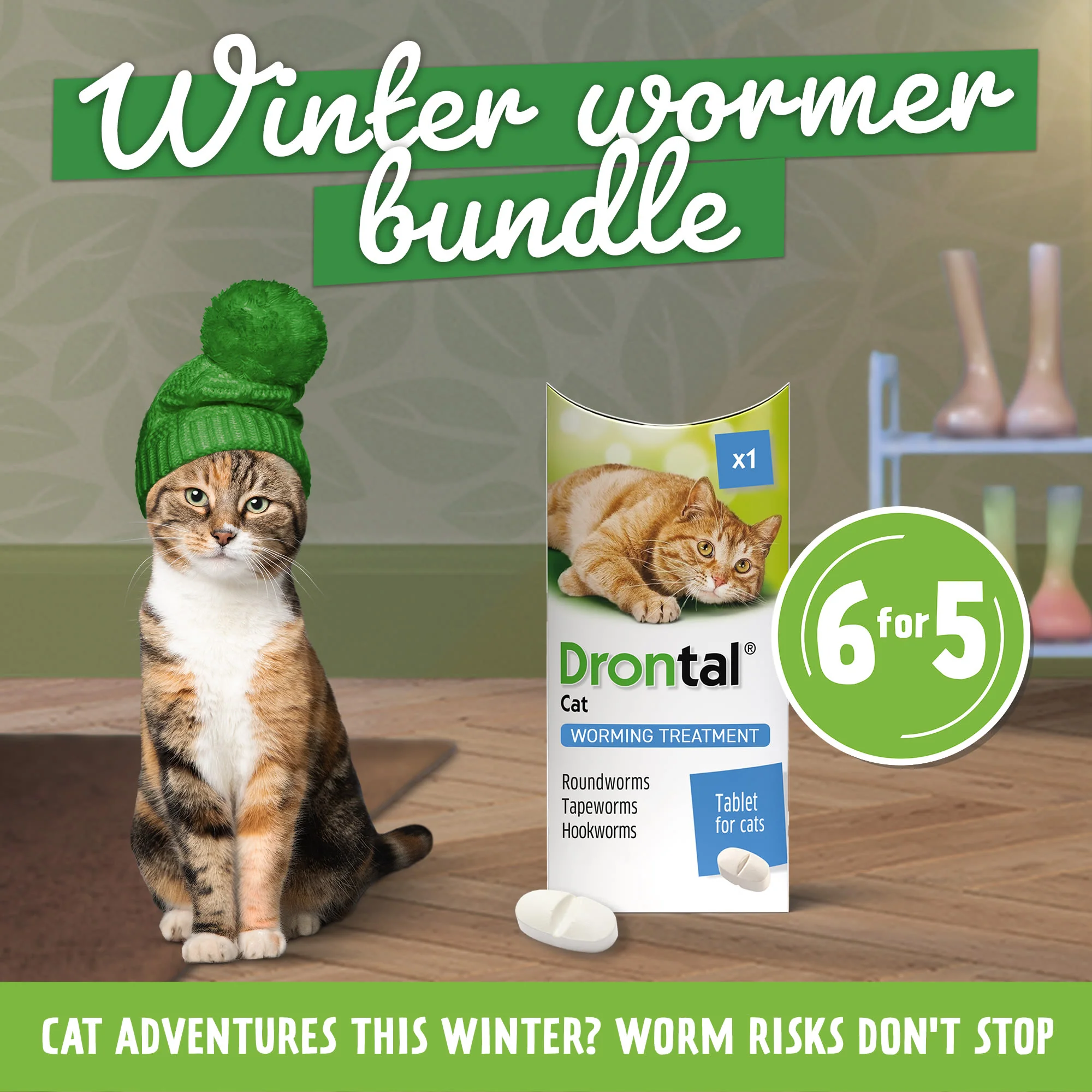 6x Drontal Wormer Tablets for Small and Medium Cats (2 to 4kg) - Image 2