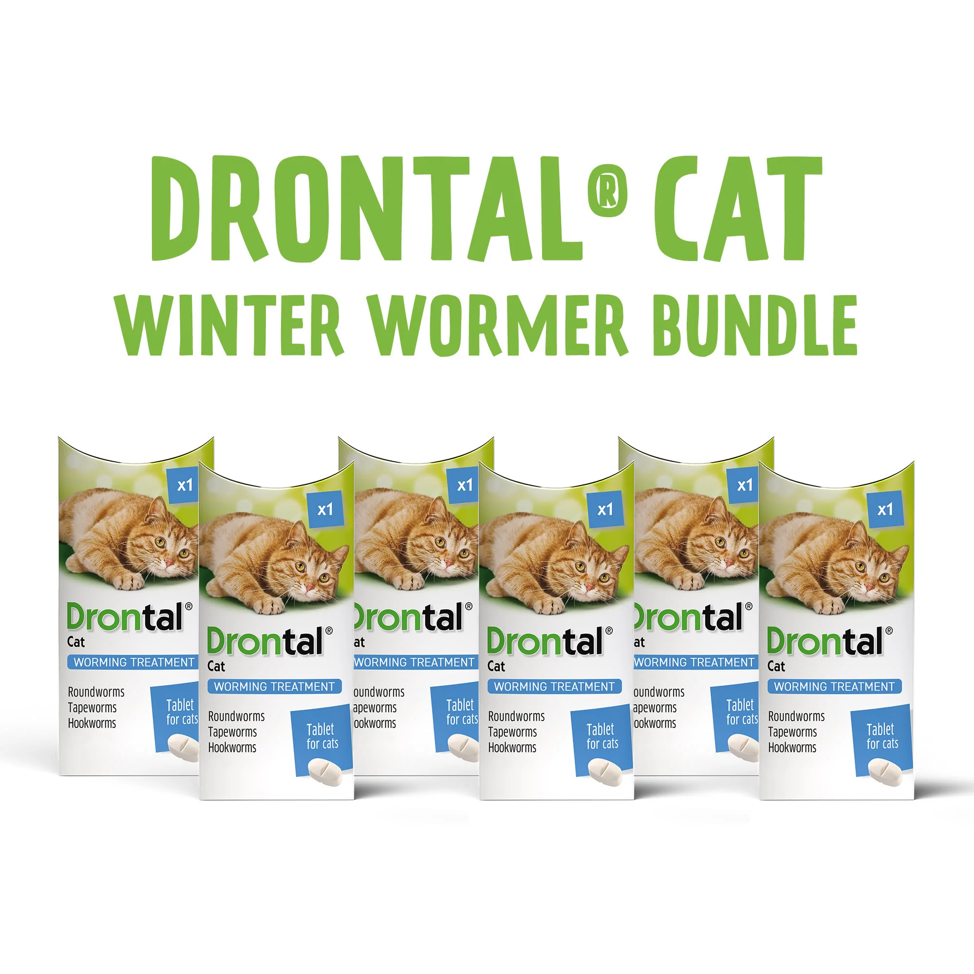 6x Drontal Wormer Tablets for Small and Medium Cats (2 to 4kg) - Image 8