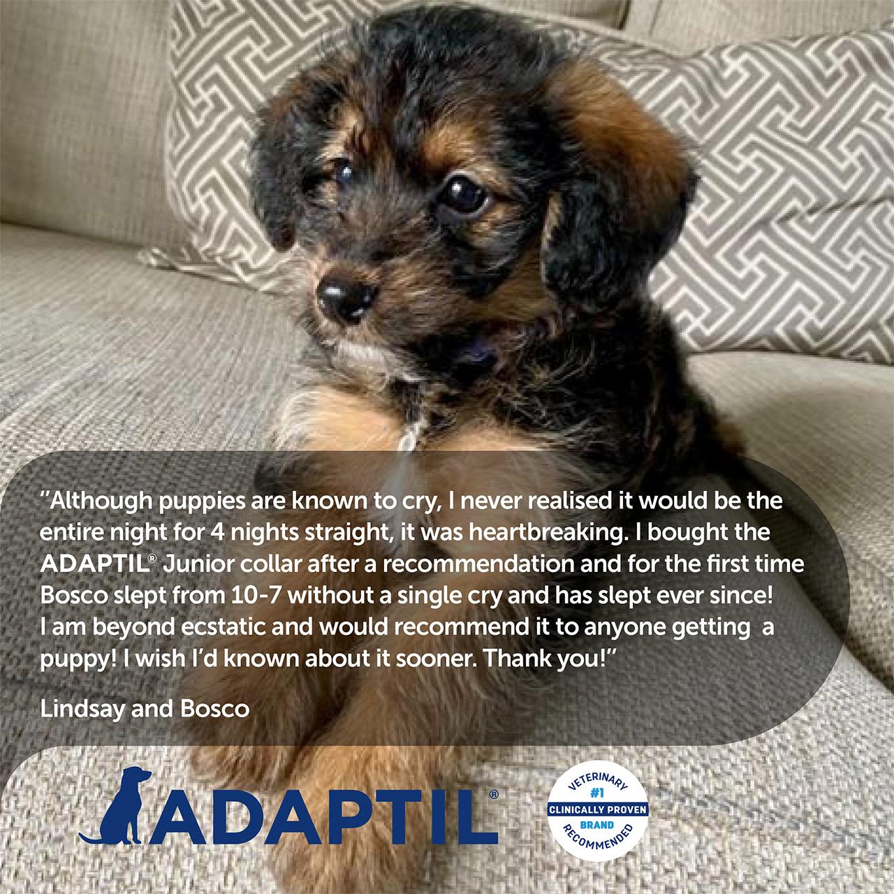 Adaptil Calm Dog Collar in Black - Image 5
