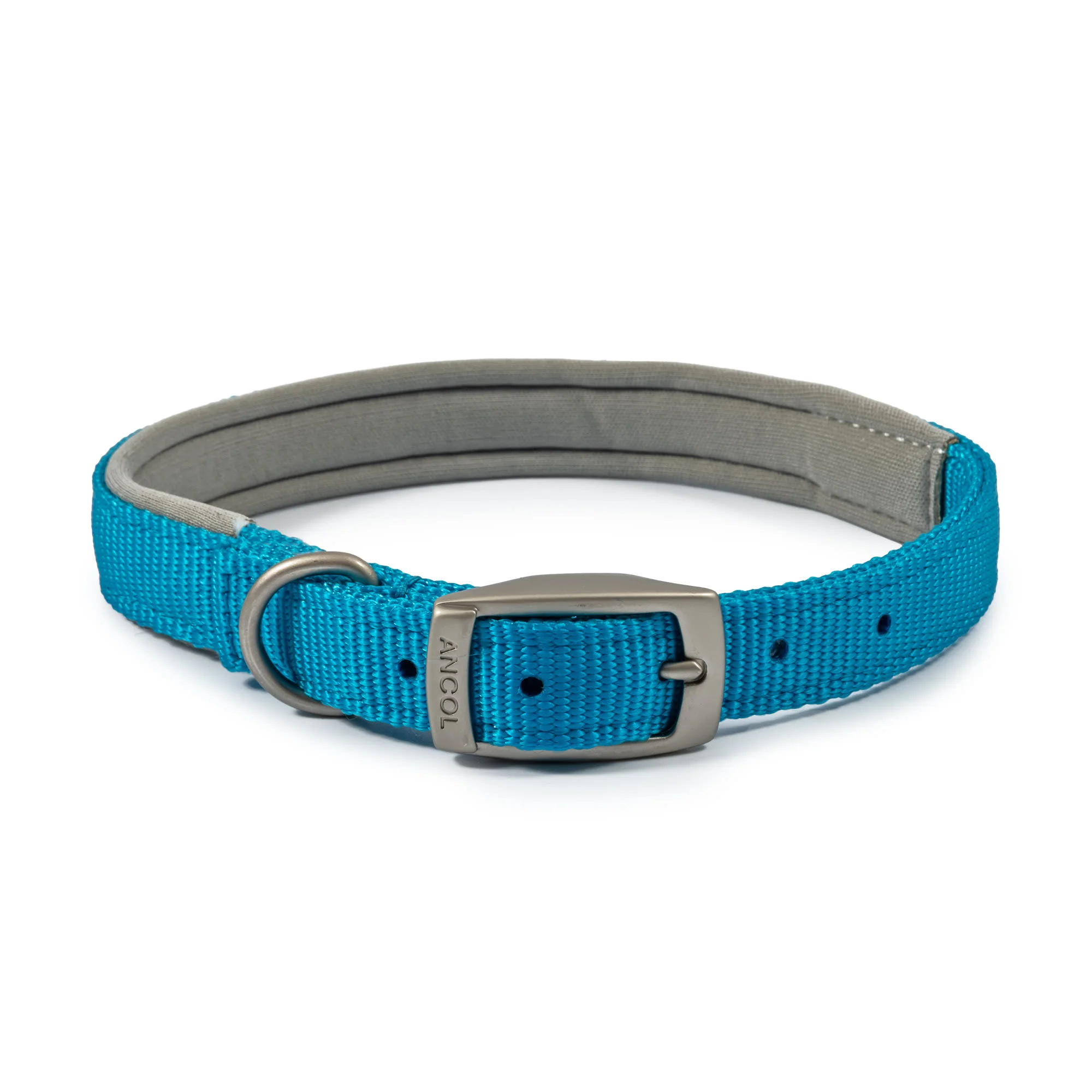 Ancol Viva Nylon Padded Buckle Dog Collar - Blue - Image 2
