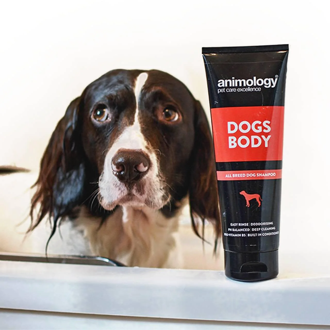 Animology All Breed Dog Body Shampoo - Image 2
