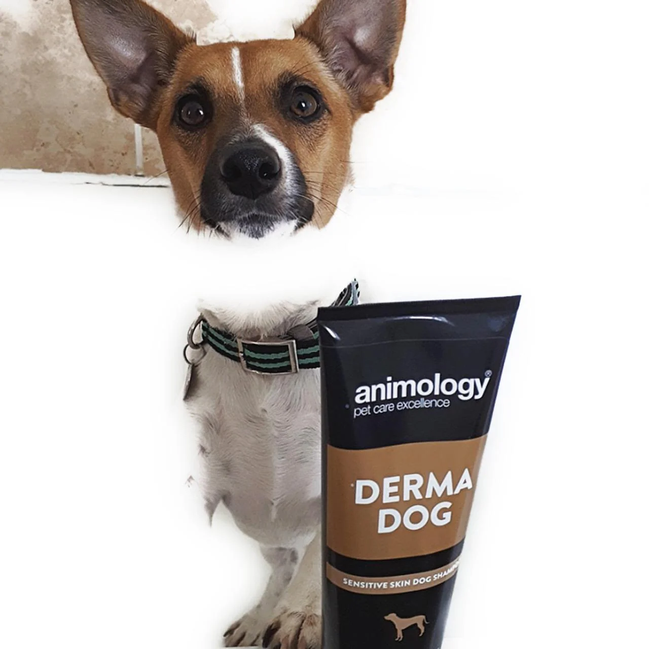 Animology Derma Sensitive Skin Dog Shampoo - Image 2