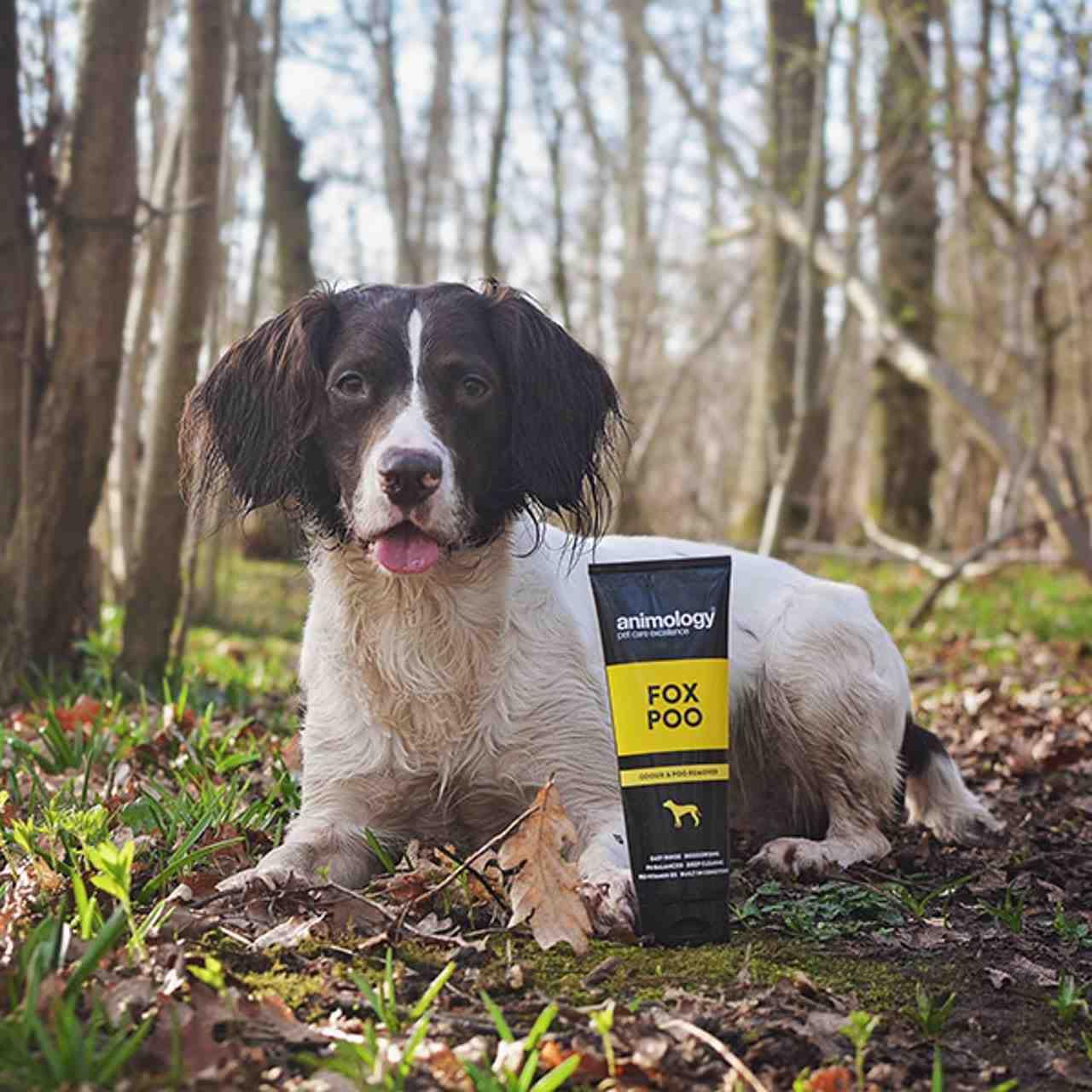 Animology Fox Poo Shampoo - Image 2