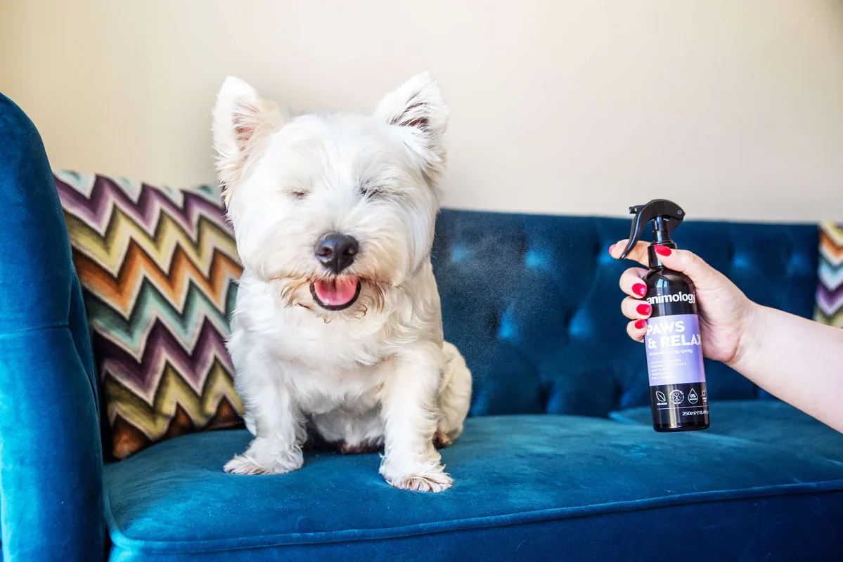 Animology Paws & Relax Aromatherapy Spray - Image 5