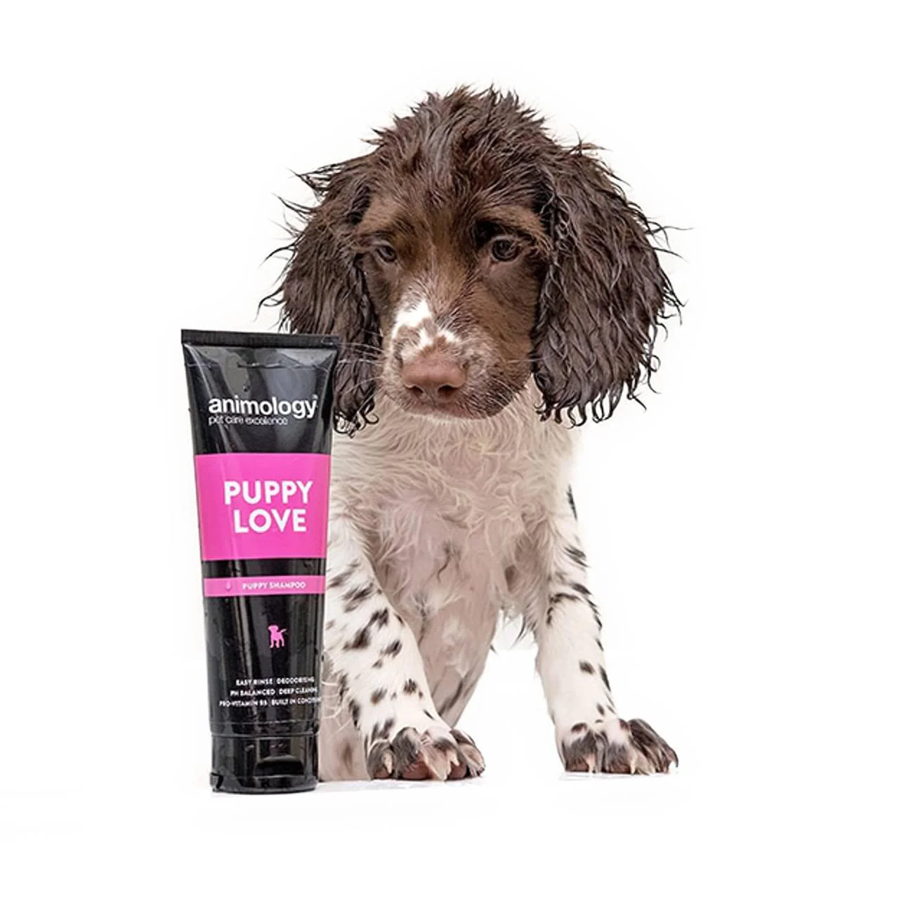 Animology Puppy Love Shampoo - Image 2