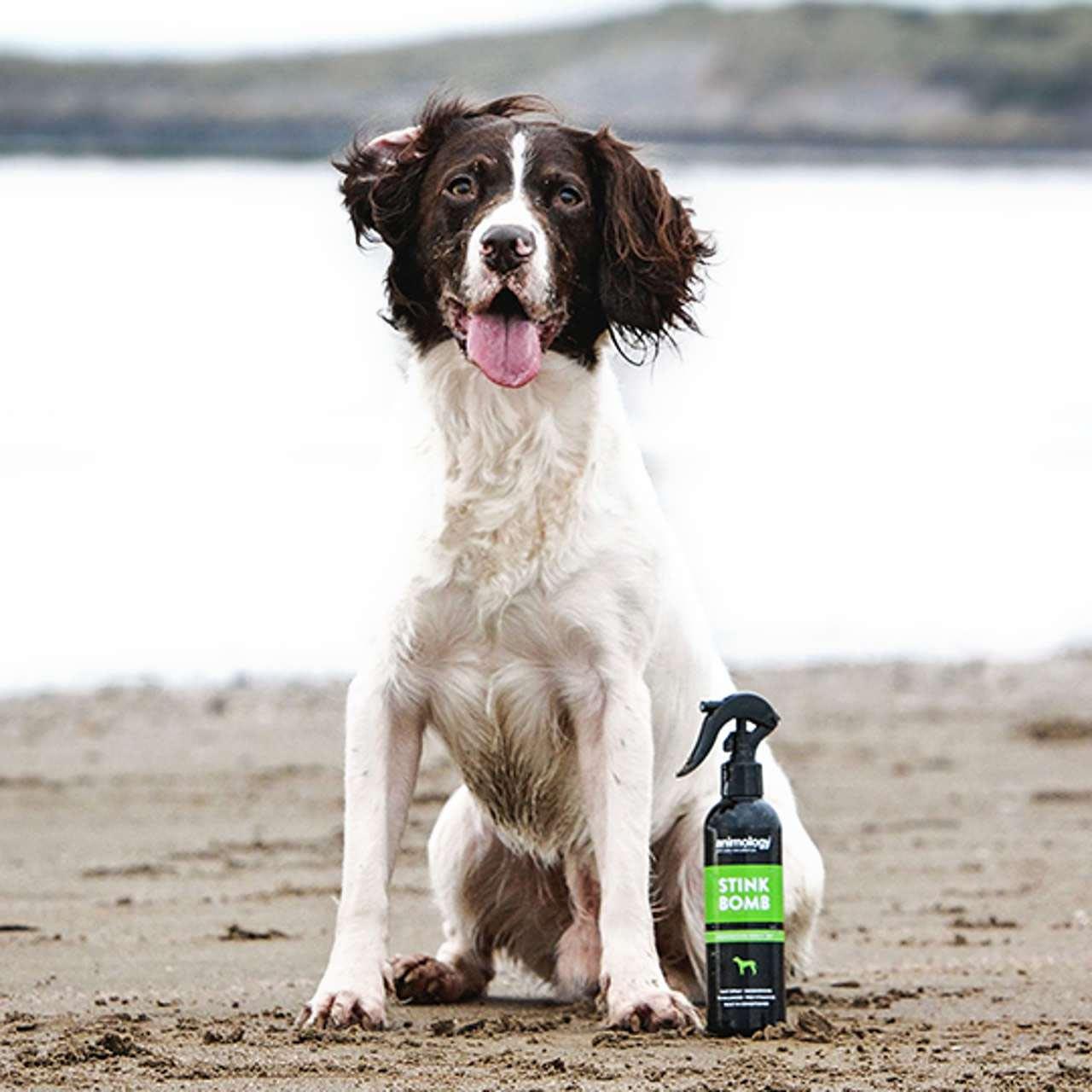 Animology Stink Bomb Refreshing Dog Spray - Image 2