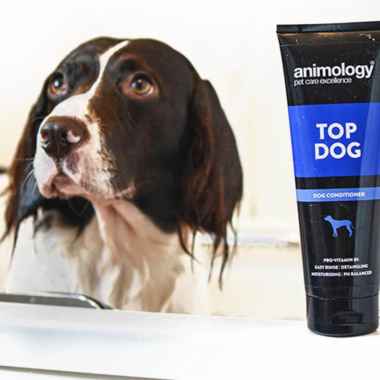 Animology Top Dog Conditioner - Image 2