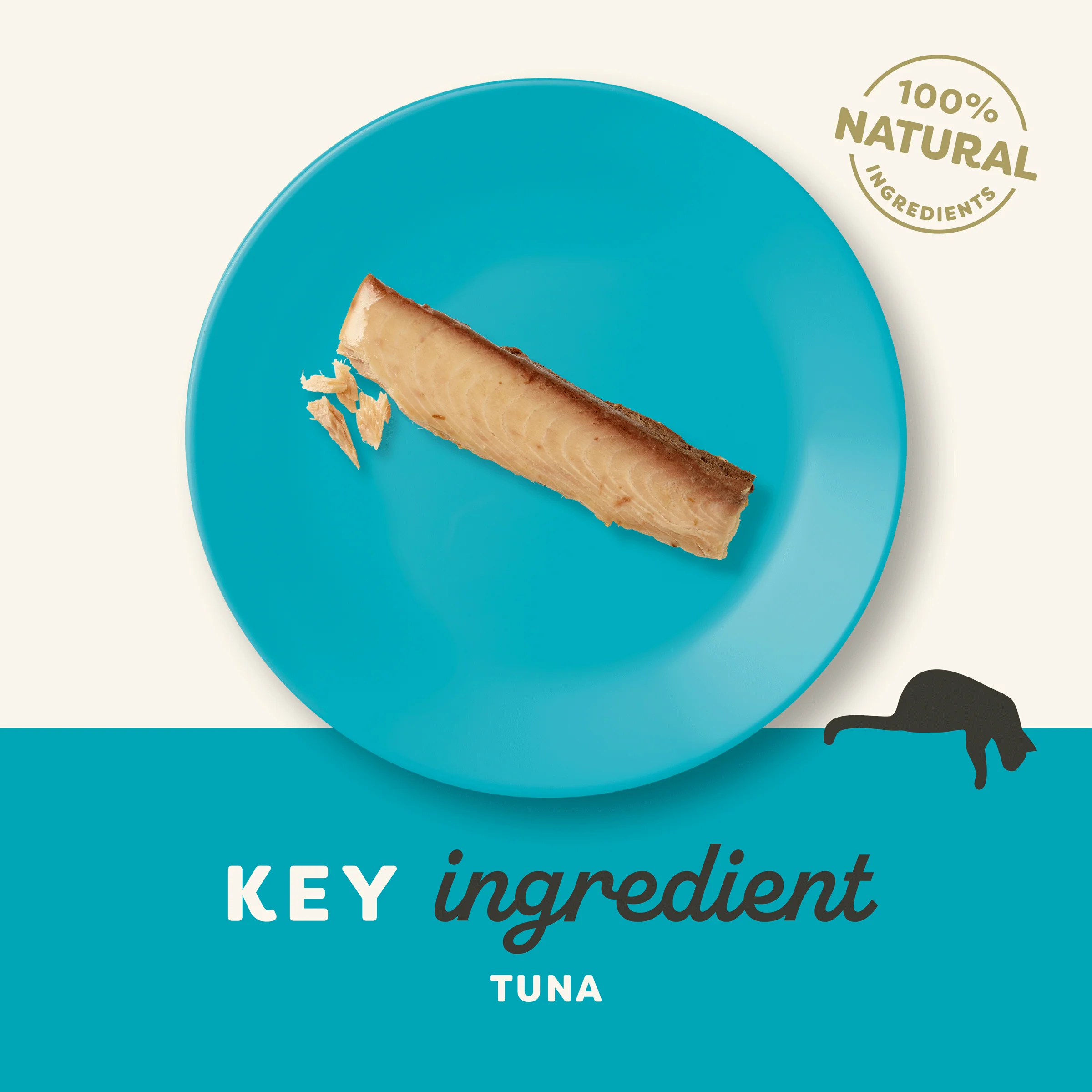 Applaws Cat 30g Tuna Loin Plain - Image 3