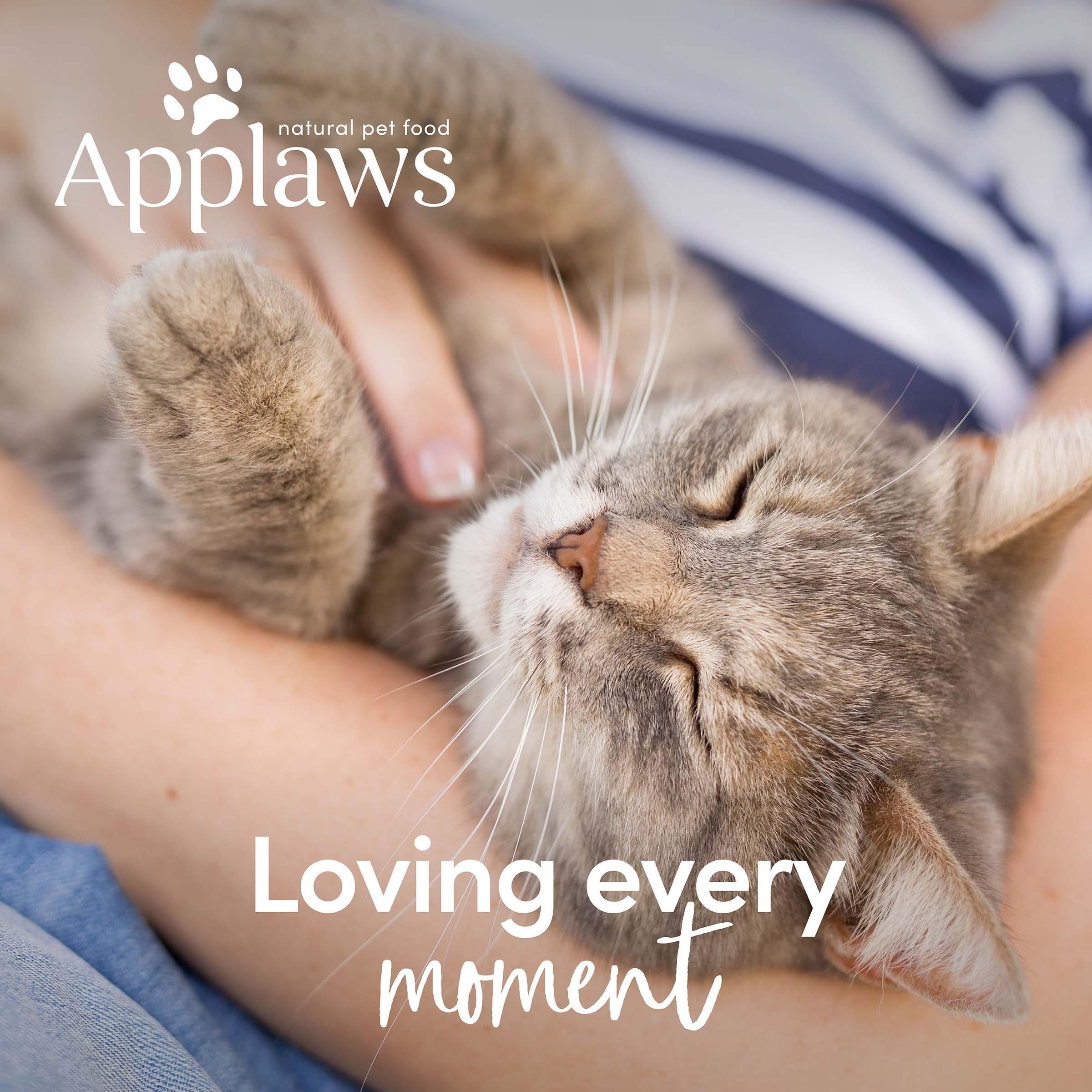 Applaws Cat Pouch 70g Chicken - Image 11