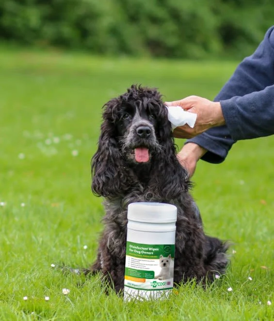 Aqueos Sanitising Wipes Tub - Image 2