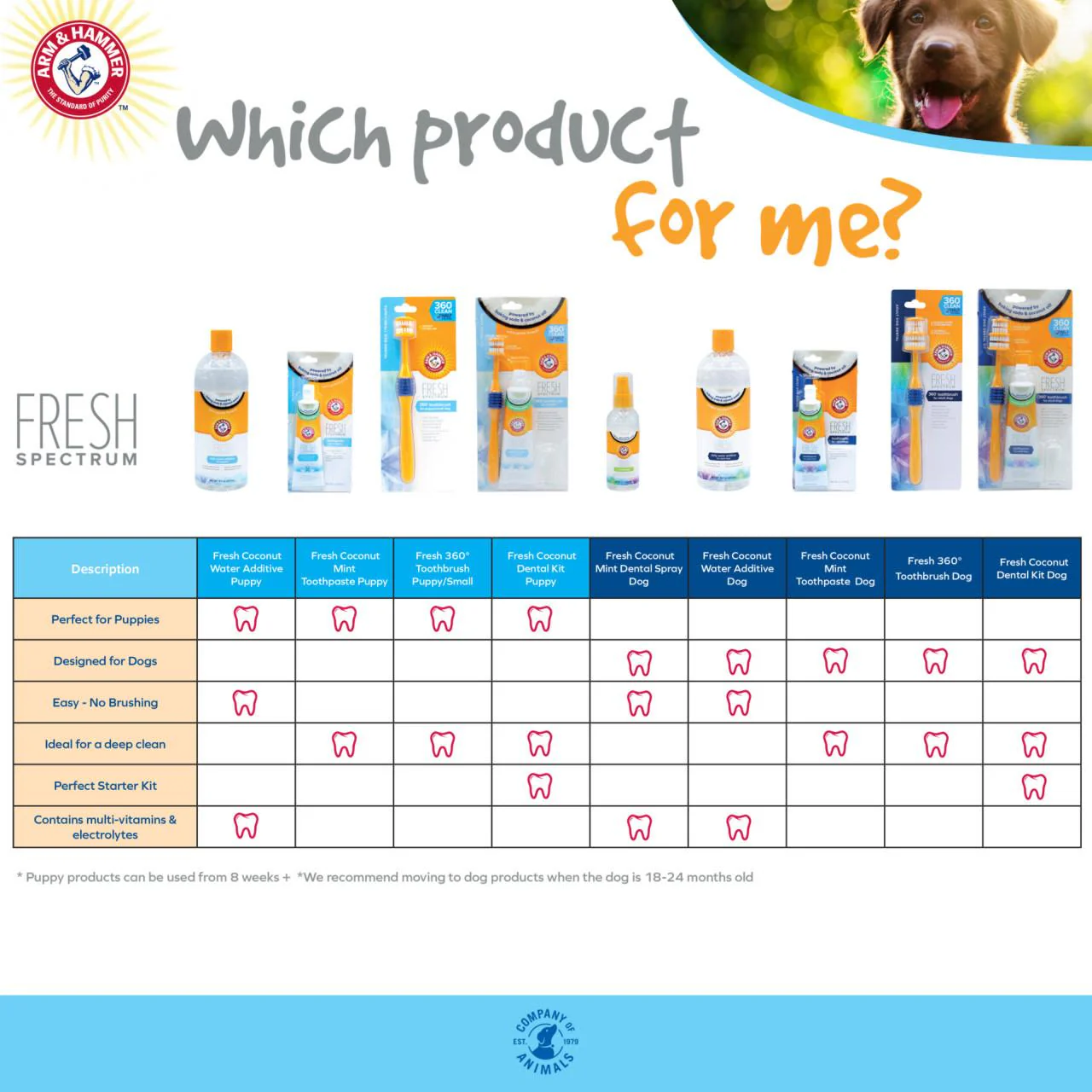 Arm & Hammer Fresh 360 Toothbrush for Dog - Image 5