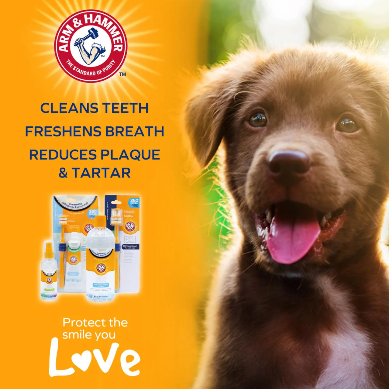 Arm & Hammer Fresh Coconut Mint Toothpaste Dog - Image 7