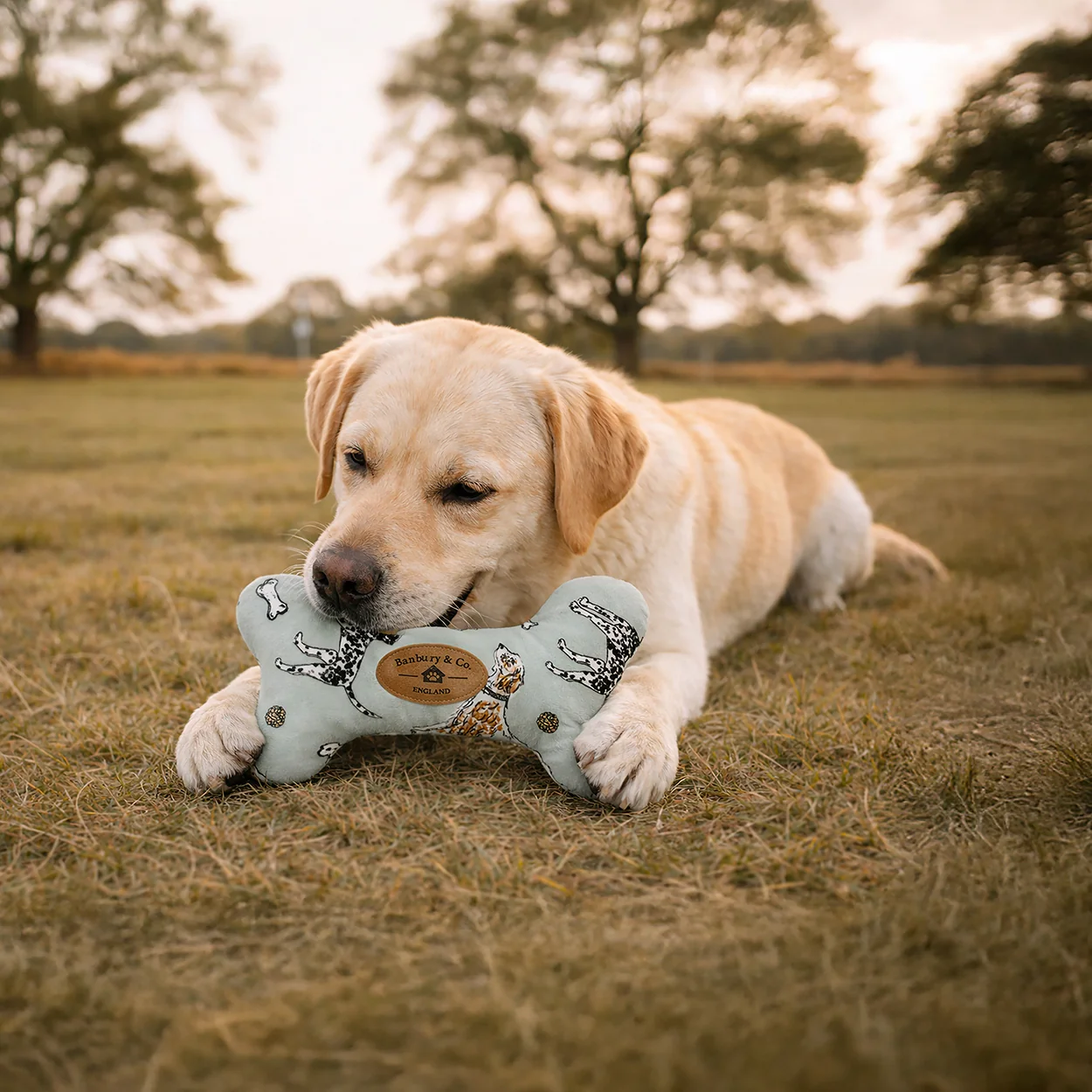 Banbury & Co Rural Retreats Cotton Bone Dog Toy - Image 4