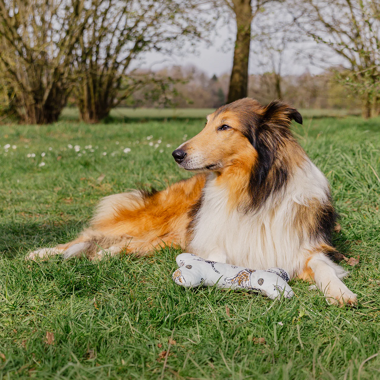 Banbury & Co Rural Retreats Cotton Bone Dog Toy - Image 5