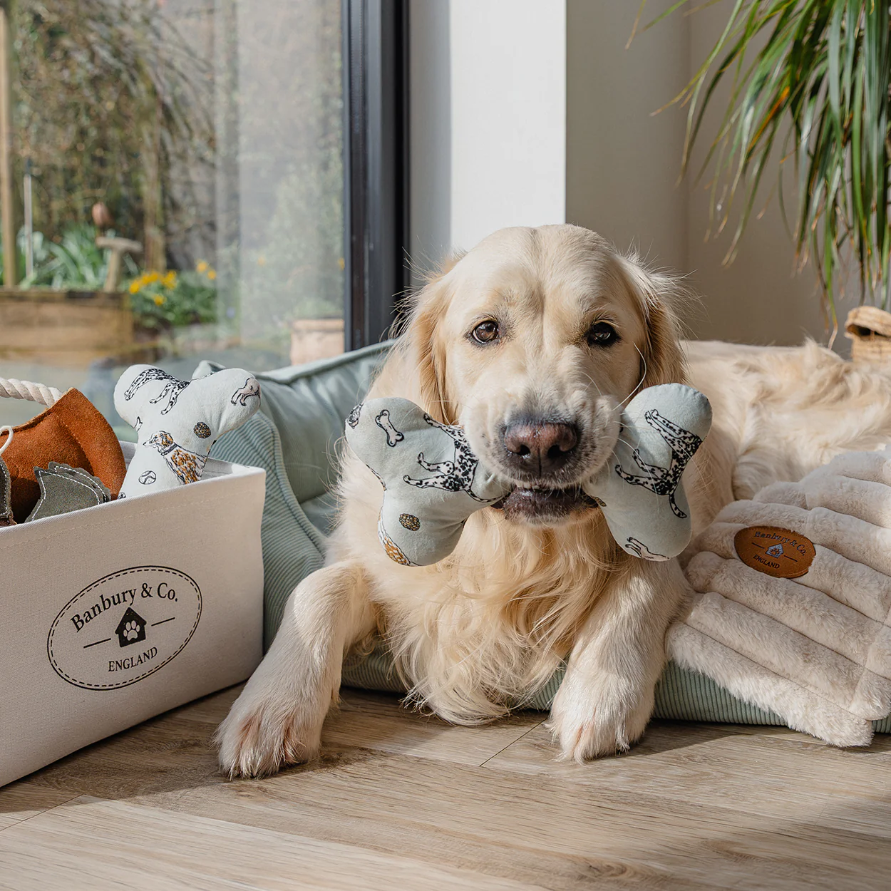 Banbury & Co Rural Retreats Cotton Bone Dog Toy - Image 6