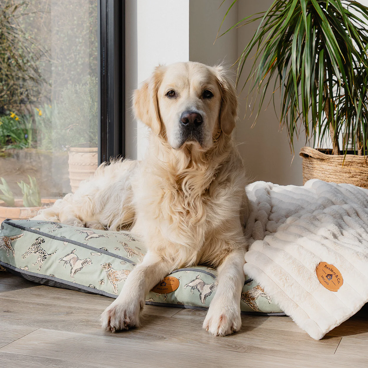 Banbury & Co Rural Retreats Dog Mattress - Image 8