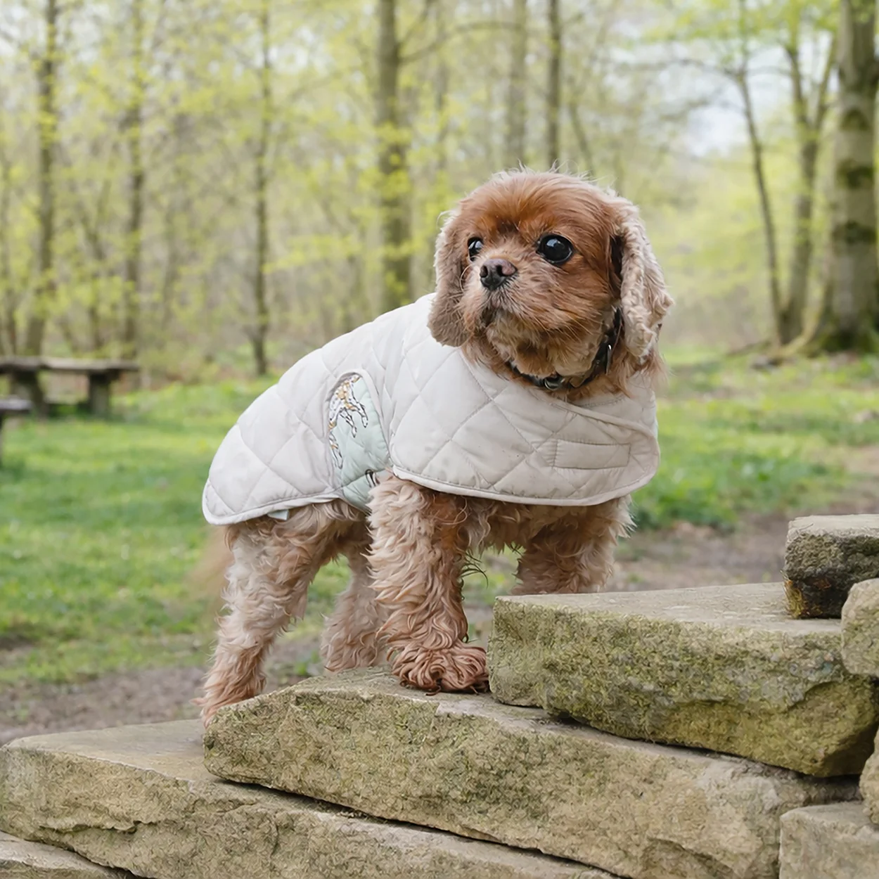 Banbury & Co Rural Retreats Grey Quilted Dog Coat - Image 3