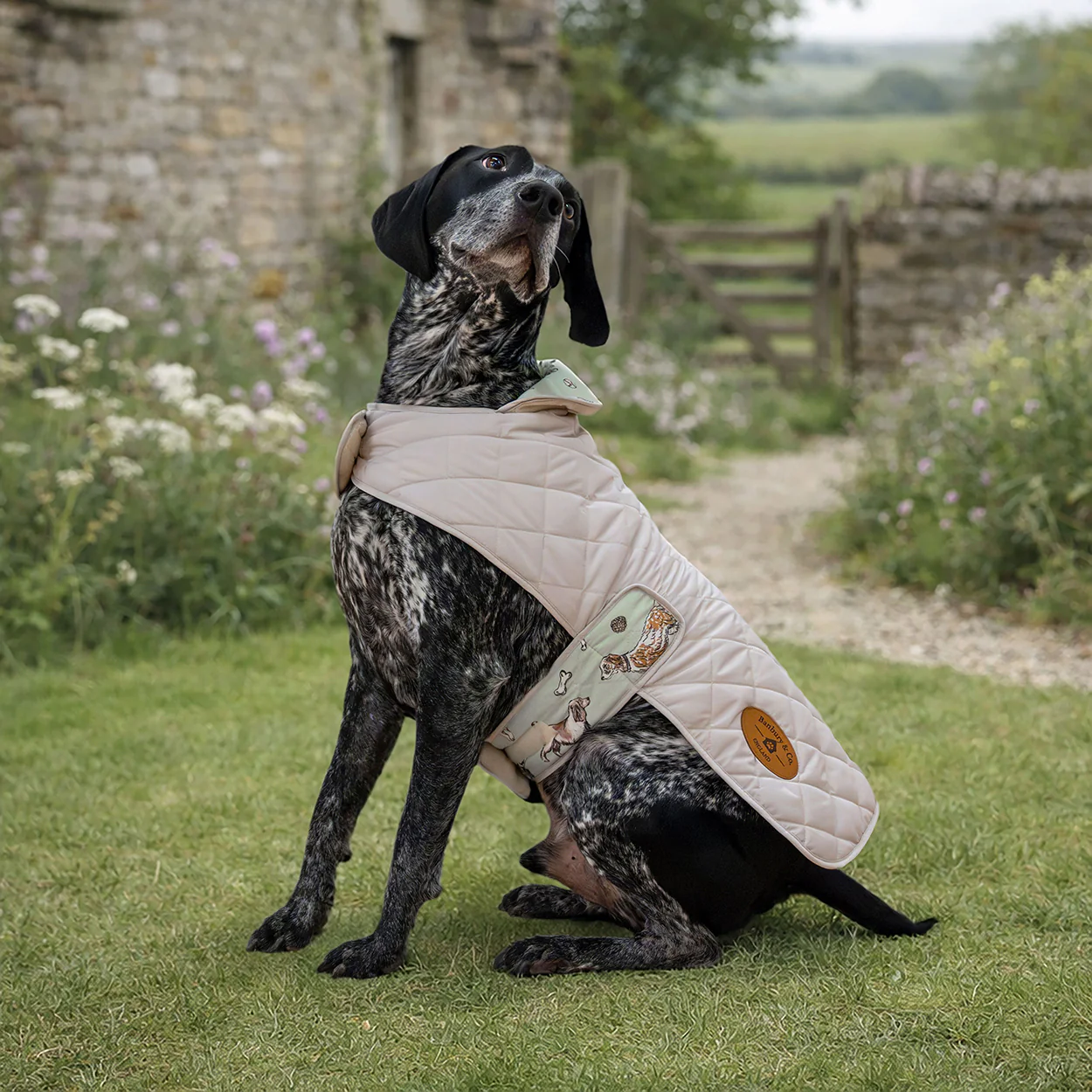 Banbury & Co Rural Retreats Grey Quilted Dog Coat - Image 7
