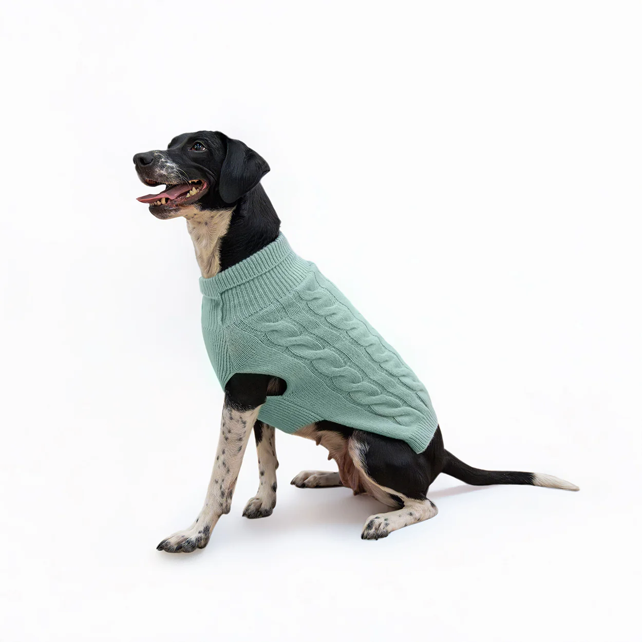 Banbury & Co Rural Retreats Seafoam Knit Dog Jumper - Image 8