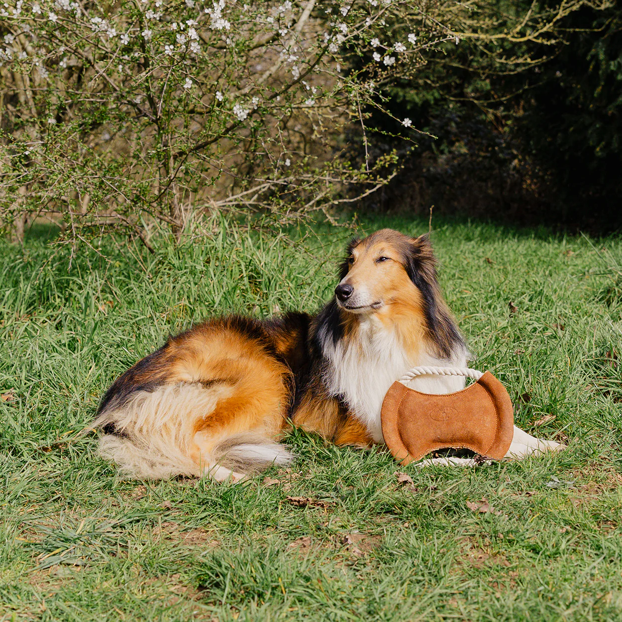 Banbury & Co Rural Retreats Suede and Rope Frisbee Dog Toy - Image 6