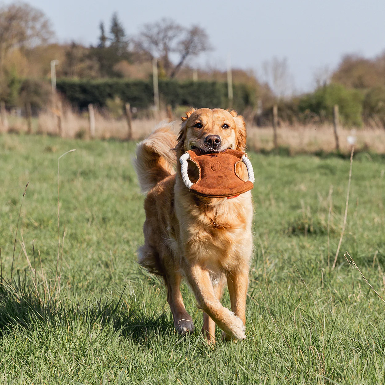 Banbury & Co Rural Retreats Suede and Rope Frisbee Dog Toy - Image 7