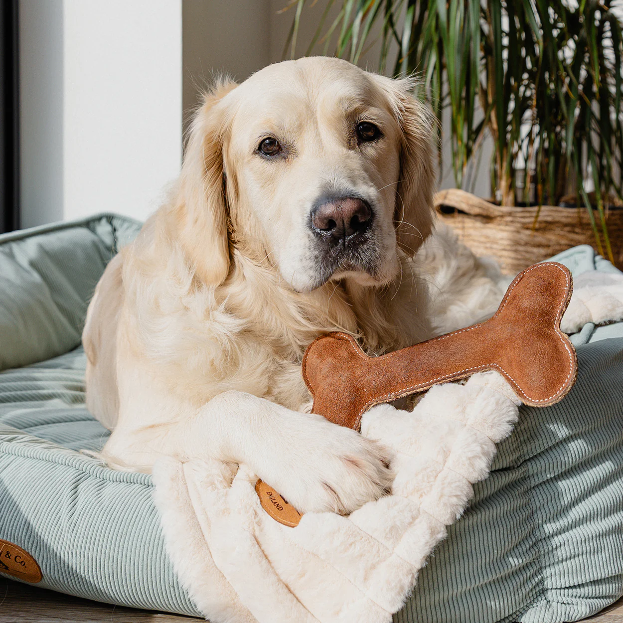 Banbury & Co Rural Retreats Suede Bone Dog Toy - Image 5