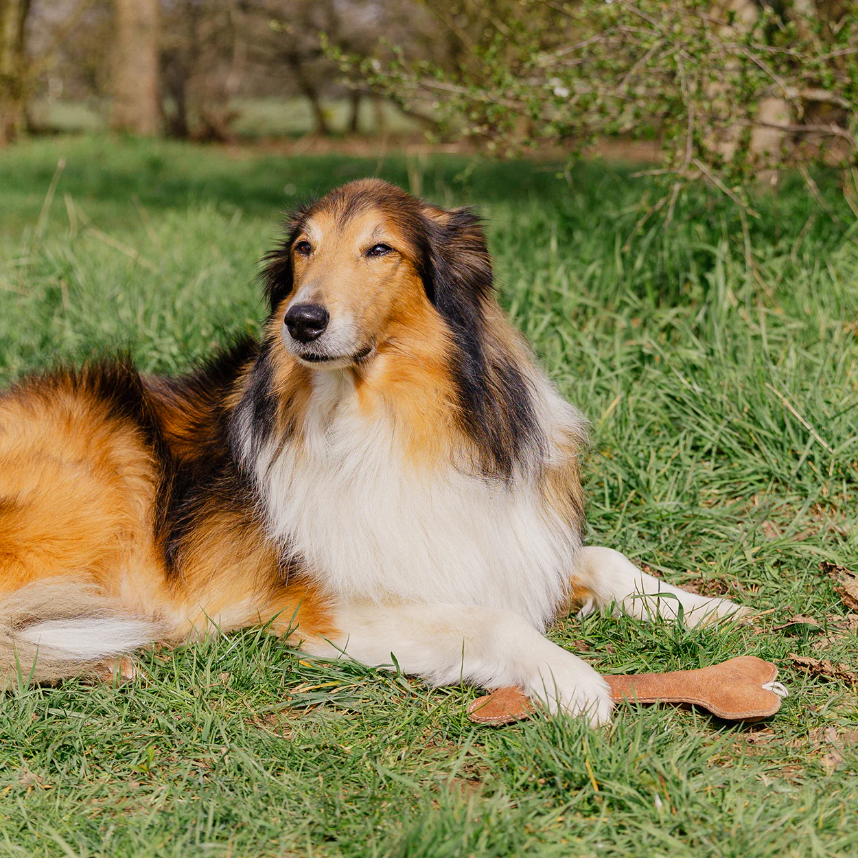 Banbury & Co Rural Retreats Suede Bone Dog Toy - Image 7