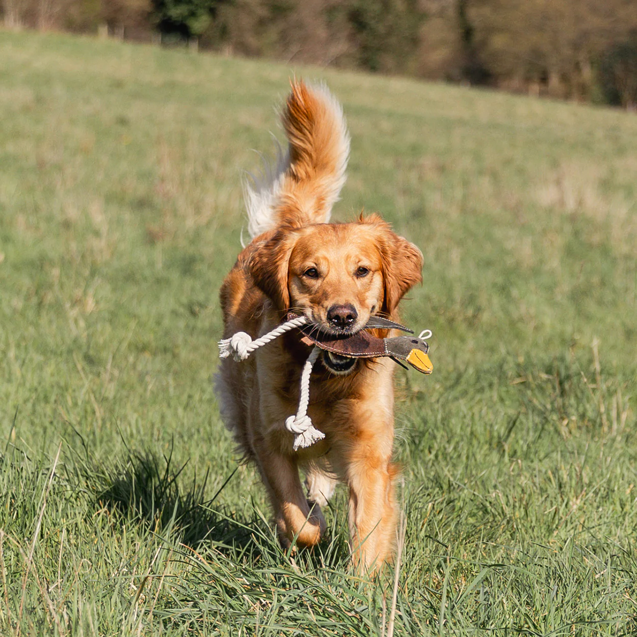 Banbury & Co Rural Retreats Suede Duck Dog Toy - Image 7