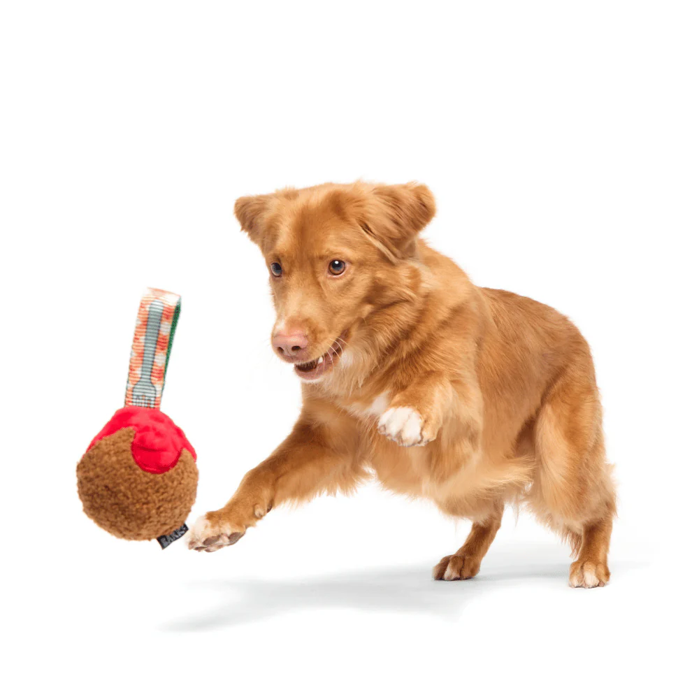 BARK A Squeaky Meat-A-Ball Dog Toy - Image 3