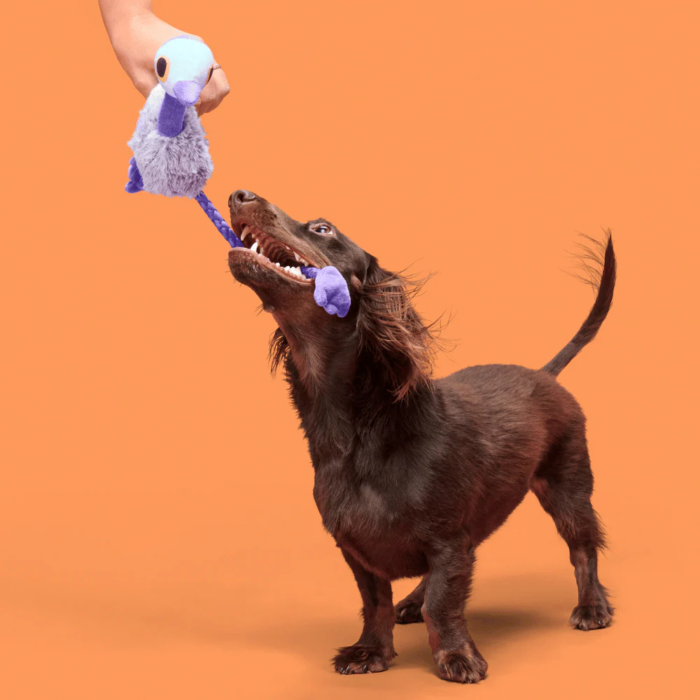 BARK Adelaide Emu Dog Toy - Image 3