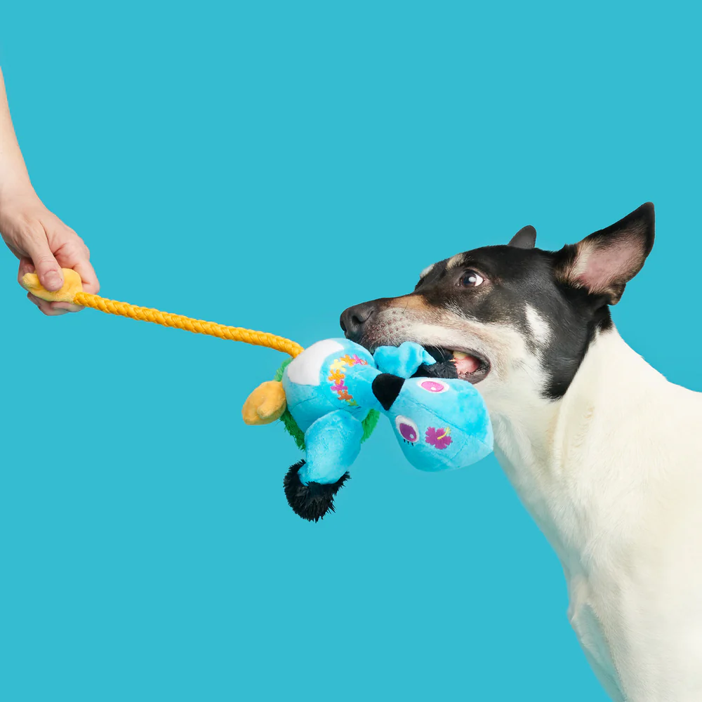 BARK Ani The Nene Goose Dog Toy - Image 2