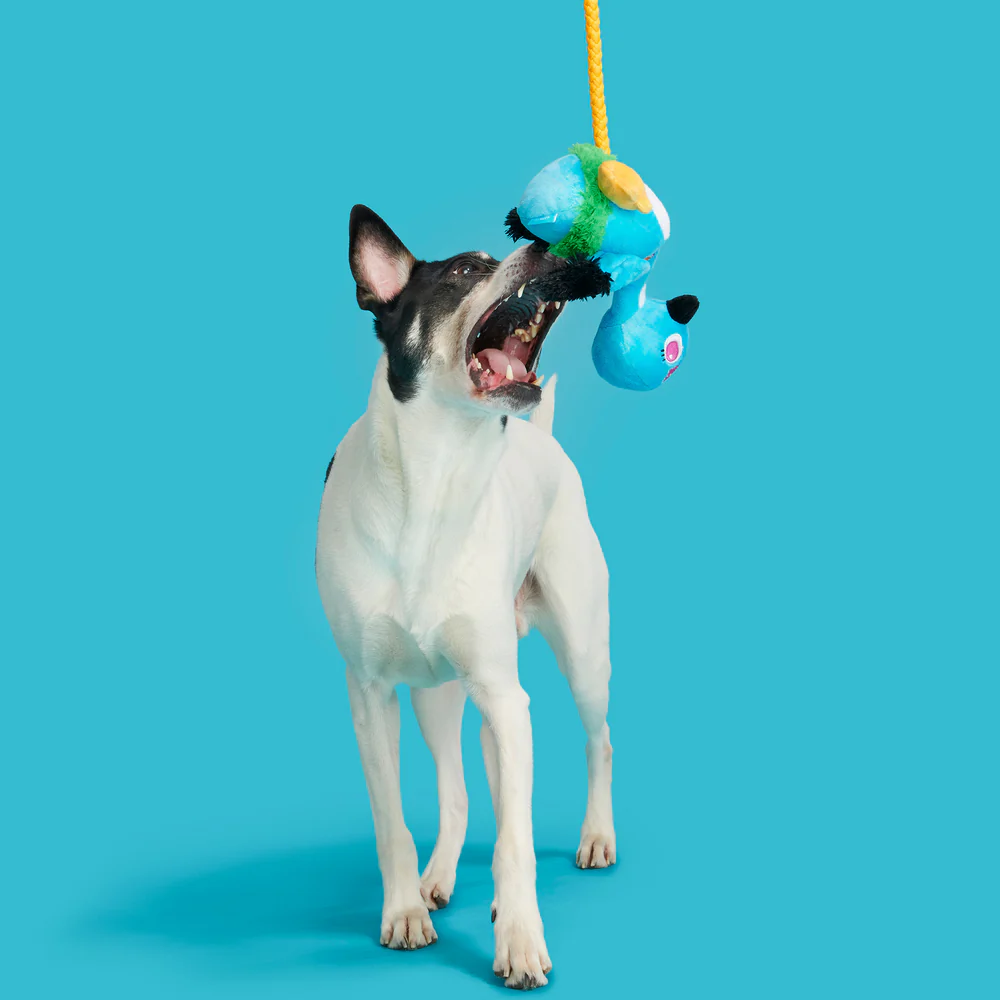 BARK Ani The Nene Goose Dog Toy - Image 3