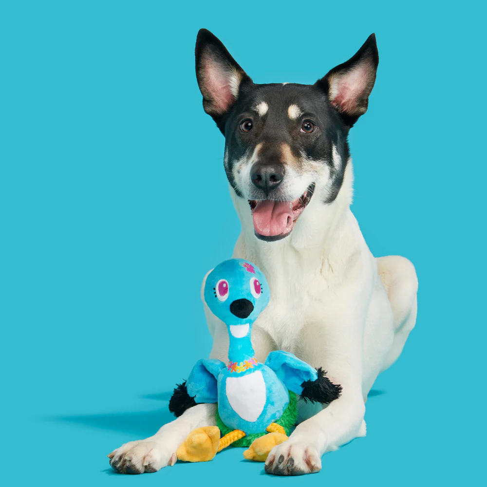 BARK Ani The Nene Goose Dog Toy - Image 4