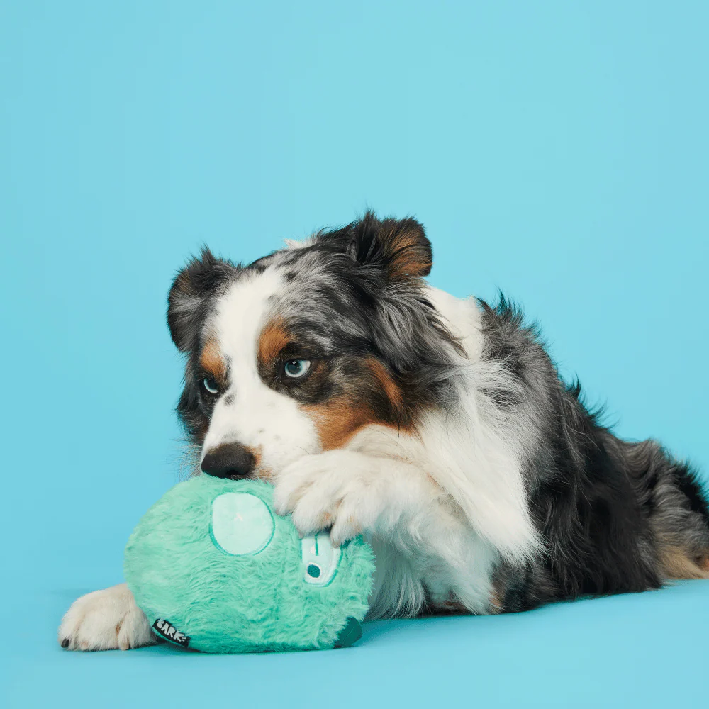 BARK Aurora Beast Dog Toy - Image 2