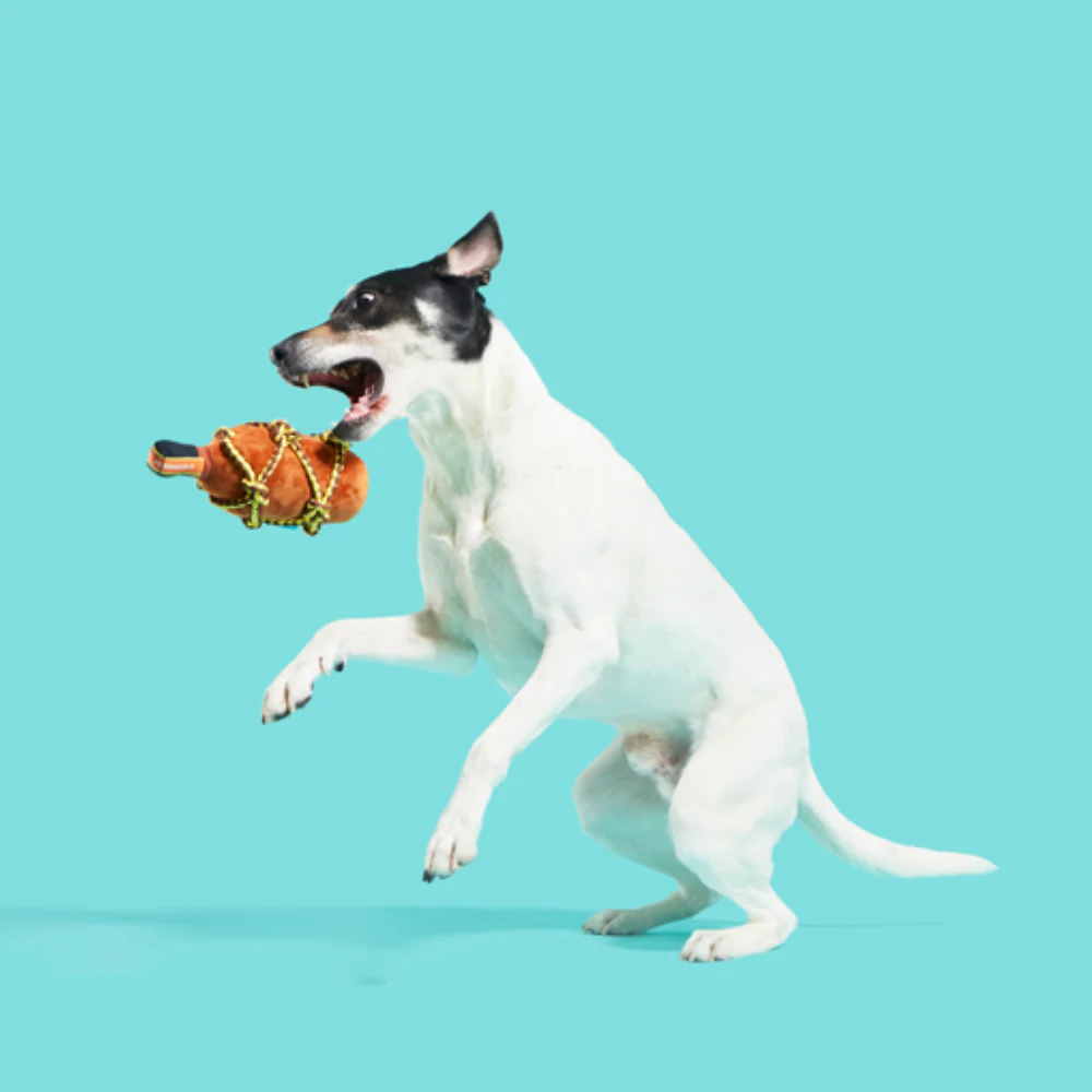 BARK Beard's Rum Dog Toy - Image 2