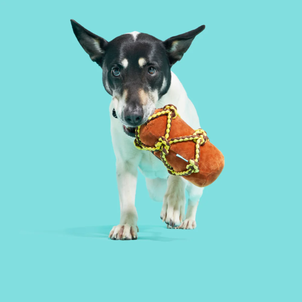 BARK Beard's Rum Dog Toy - Image 3