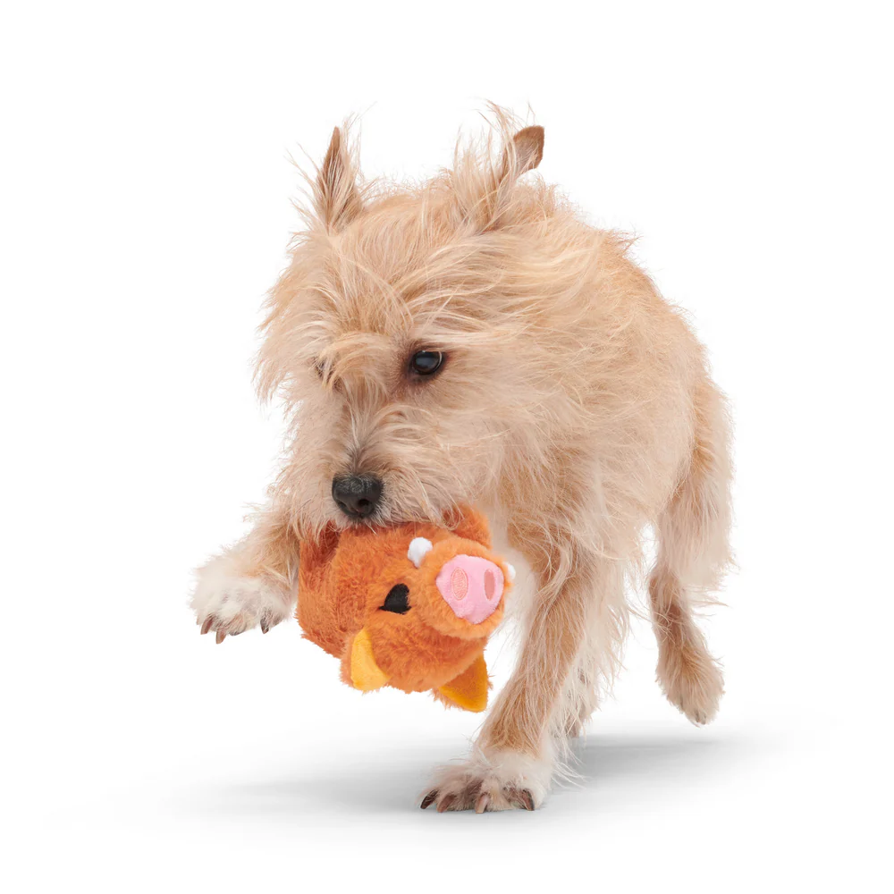 BARK Beau The Boar Dog Toy - Image 2
