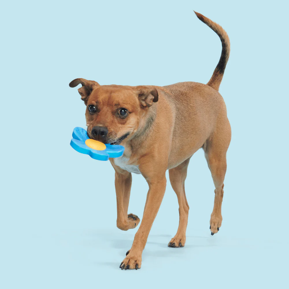 BARK Blue Power Flower Dog Toy - Image 3